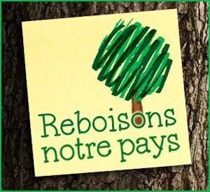 3m-post-it-arbre-gratuit