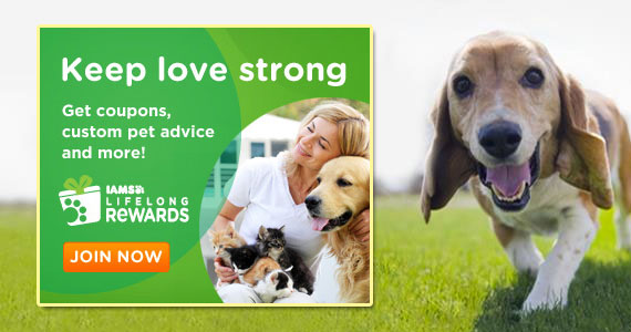 Join Iams For Exclusive Offers